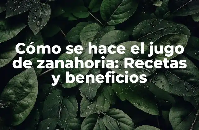 Cómo Se Hace el Jugo de Zanahoria: Recetas y Beneficios