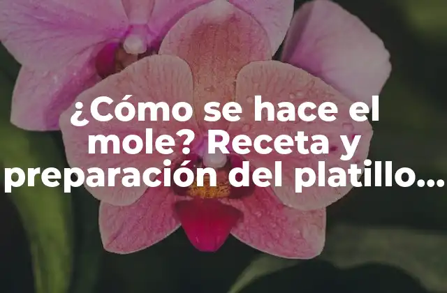 ¿cómo Se Hace el Mole? Receta y Preparación Del Platillo Mexicano