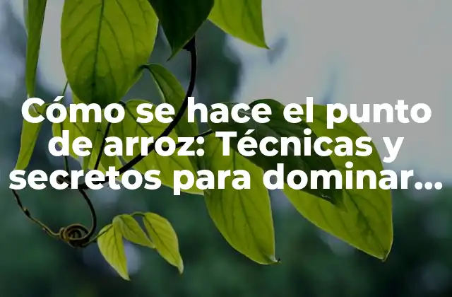 Cómo Se Hace el Punto de Arroz: Técnicas y Secretos para Dominar Esta Habilidad
