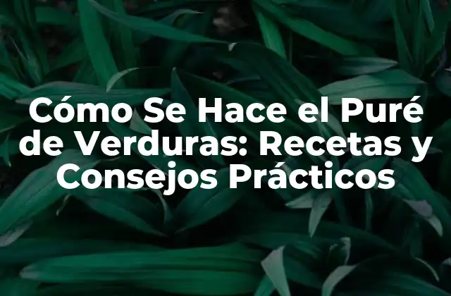 Cómo Se Hace el Puré de Verduras: Recetas y Consejos Prácticos