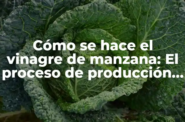 Cómo Se Hace el Vinagre de Manzana: el Proceso de Producción Natural