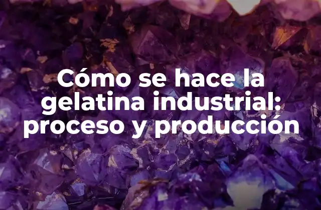 Cómo Se Hace la Gelatina Industrial: Proceso y Producción