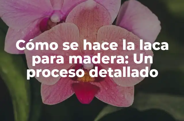 Cómo Se Hace la Laca para Madera: un Proceso Detallado 2 Tipos de laca para madera