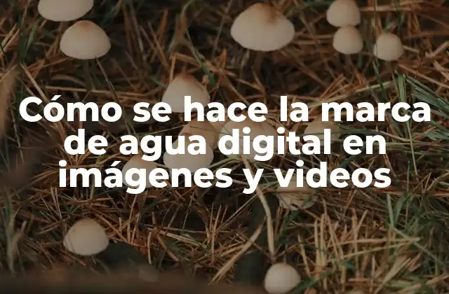 Cómo Se Hace la Marca de Agua Digital en Imágenes y Videos
