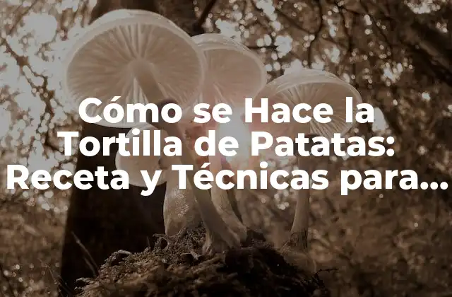 Cómo Se Hace la Tortilla de Patatas: Receta y Técnicas para una Tortilla Perfecta