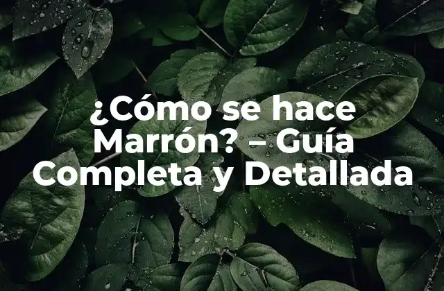 ¿cómo Se Hace Marrón? – Guía Completa y Detallada