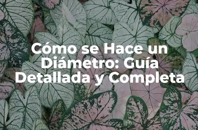 Cómo Se Hace un Diámetro: Guía Detallada y Completa