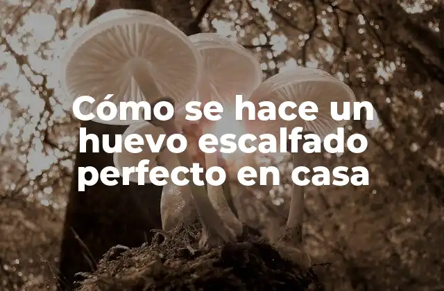 Ingredientes necesarios para hacer un huevo escalfado