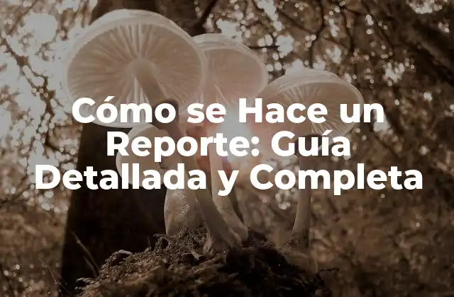Cómo Se Hace un Reporte: Guía Detallada y Completa