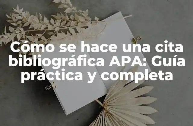 Cómo Se Hace una Cita Bibliográfica Apa: Guía Práctica y Completa