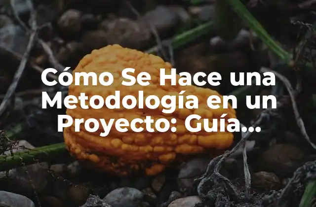 Cómo Se Hace una Metodología en un Proyecto: Guía Detallada