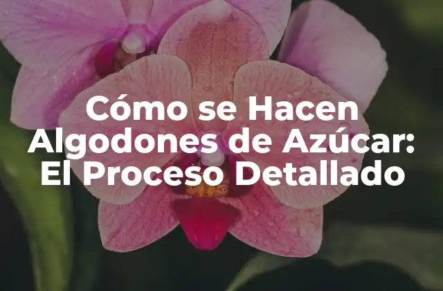Cómo Se Hacen Algodones de Azúcar: el Proceso Detallado
