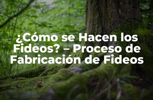 ¿cómo Se Hacen los Fideos? – Proceso de Fabricación de Fideos