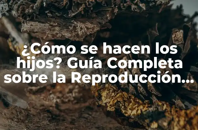 ¿cómo Se Hacen los Hijos? Guía Completa sobre la Reproducción Humana