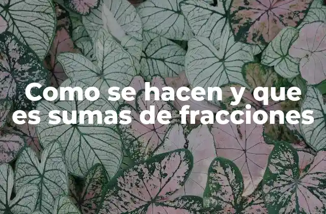 Cómo entender las fracciones antes de sumarlas