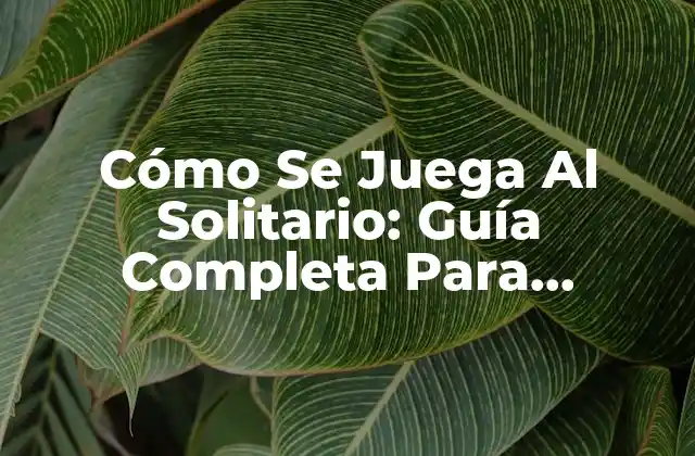 Cómo Se Juega Al Solitario: Guía Completa para Principiantes