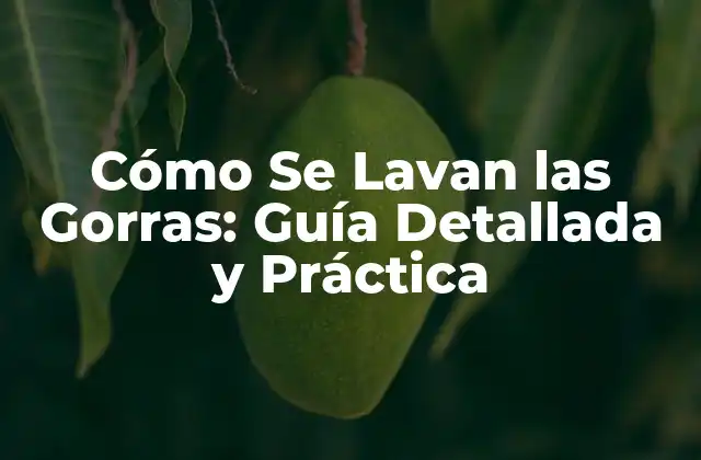 Cómo Se Lavan las Gorras: Guía Detallada y Práctica