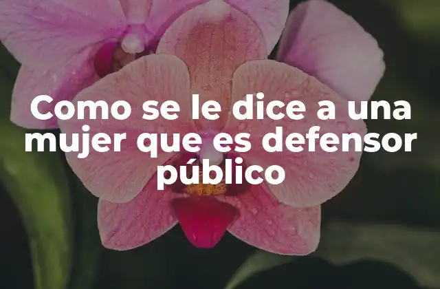 Como Se Le Dice a una Mujer que es Defensor Público