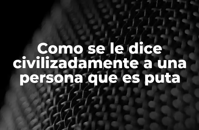 Como Se Le Dice Civilizadamente a una Persona que es Puta