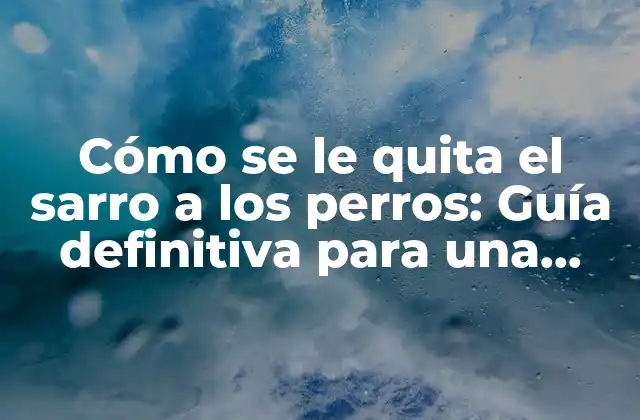 Cómo Se Le Quita el Sarro a los Perros: Guía Definitiva para una Buena Higiene Oral