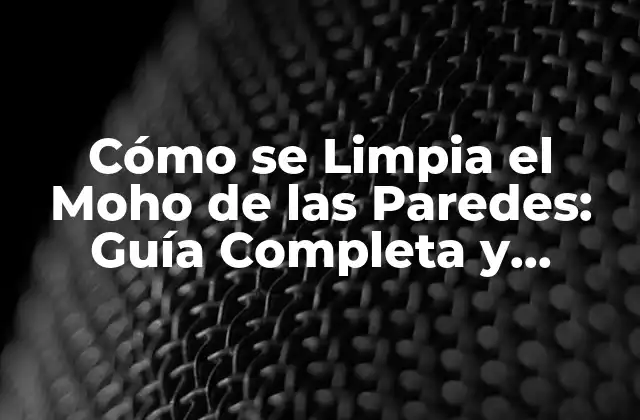 ¿Qué es el Moho y Por qué se Forma en las Paredes?