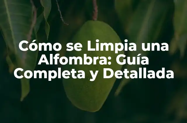 Cómo Se Limpia una Alfombra: Guía Completa y Detallada