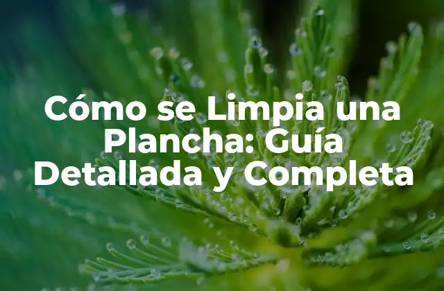 Cómo Se Limpia una Plancha: Guía Detallada y Completa