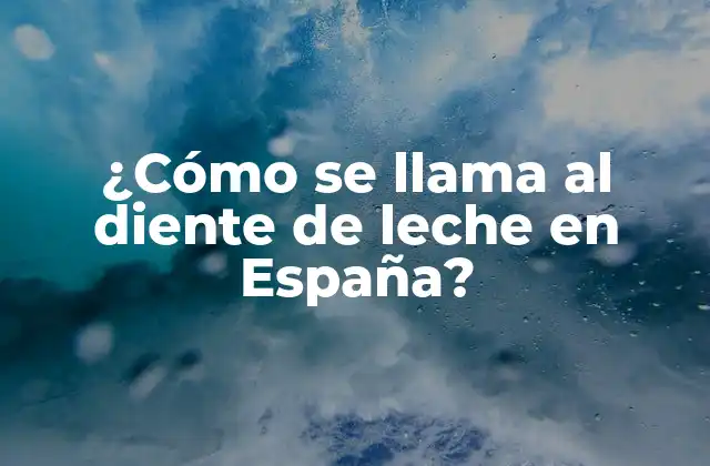 ¿cómo Se Llama Al Diente de Leche en España?