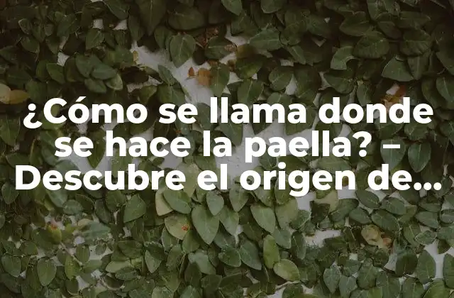 ¿cómo Se Llama Donde Se Hace la Paella? – Descubre el Origen de la Auténtica Paella Valenciana