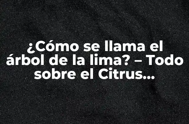 ¿cómo Se Llama el Árbol de la Lima? – Todo sobre el Citrus Aurantifolia