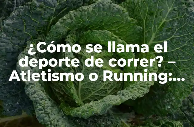 ¿cómo Se Llama el Deporte de Correr? – Atletismo o Running: Todo Lo que Debes Saber