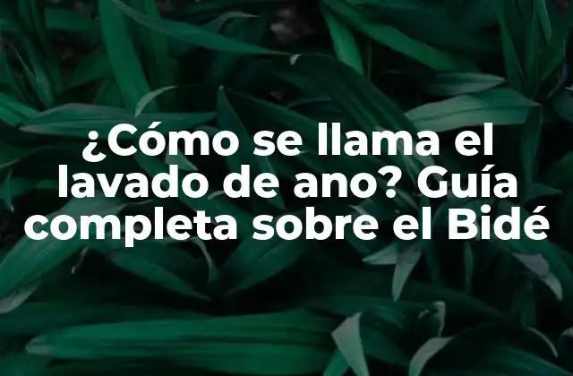 ¿cómo Se Llama el Lavado de Ano? Guía Completa sobre el Bidé