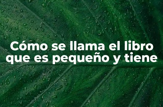 Los formatos de libros y su importancia en la lectura