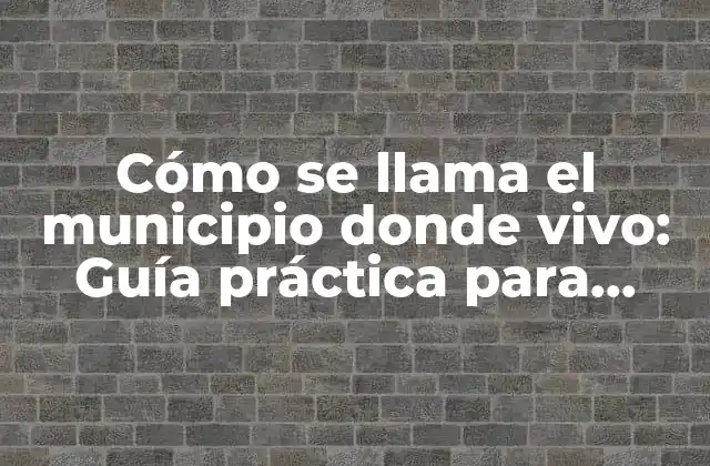 Cómo Se Llama el Municipio Donde Vivo: Guía Práctica para Conocer Tu Localidad