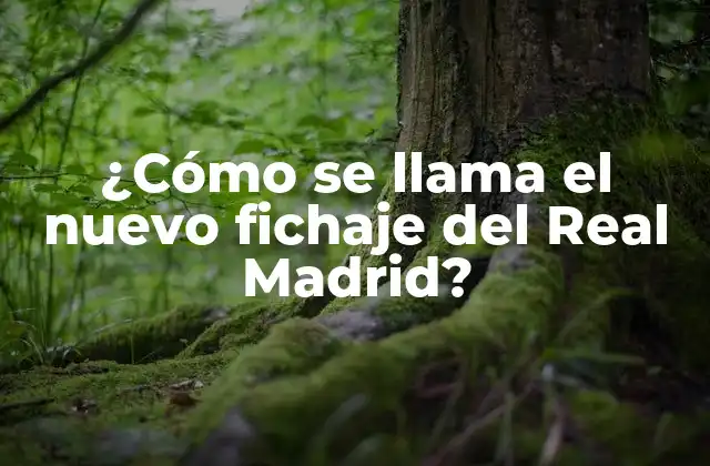 ¿cómo Se Llama el Nuevo Fichaje Del Real Madrid?