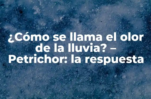¿cómo Se Llama el Olor de la Lluvia? – Petrichor: la Respuesta