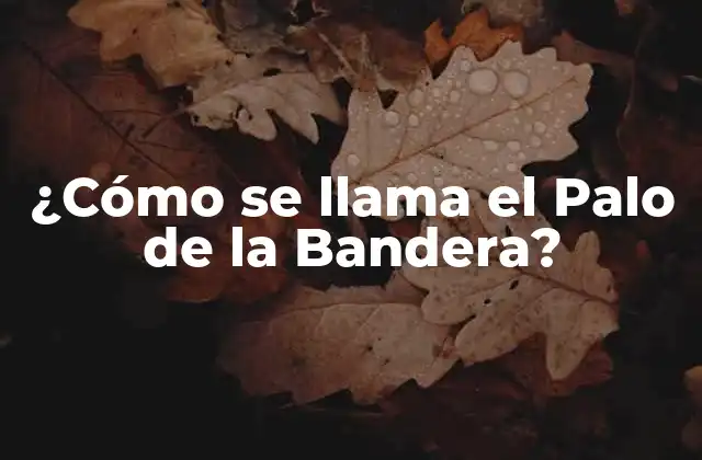 ¿cómo Se Llama el Palo de la Bandera?