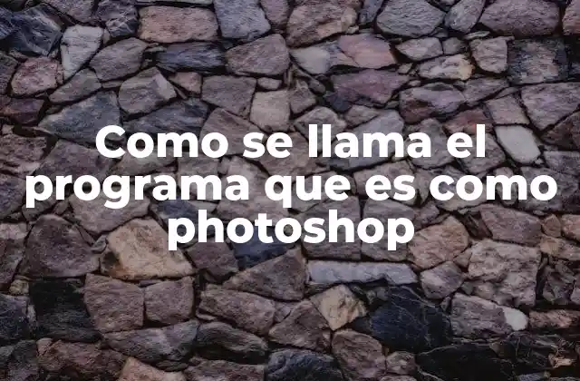 Como Se Llama el Programa que es como Photoshop