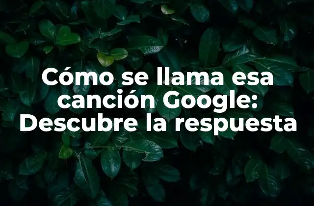La tecnología detrás de Cómo se llama esa canción Google