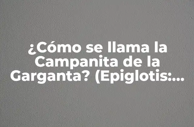 ¿cómo Se Llama la Campanita de la Garganta? (epiglotis: Funciones y Curiosidades)