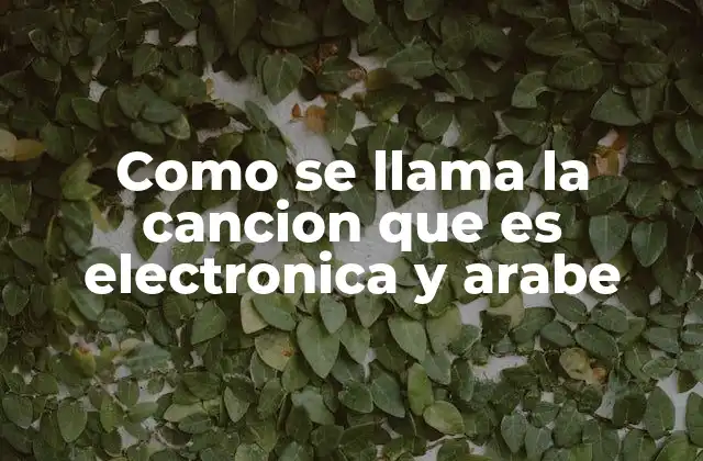 Como Se Llama la Cancion que es Electronica y Arabe 2 La fusión entre lo electrónico y lo árabe en la música