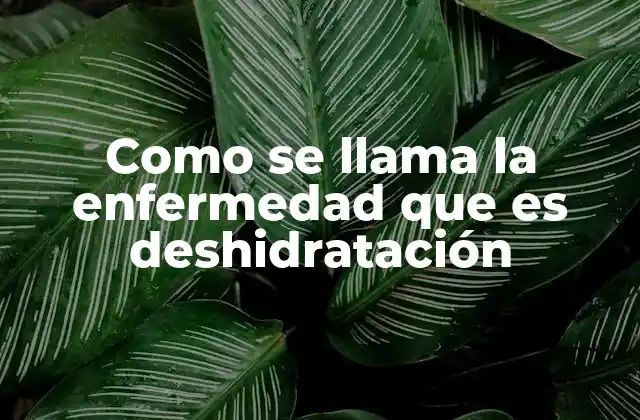 Entendiendo la deshidratación y sus causas