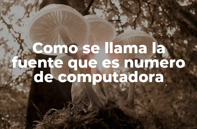 Como Se Llama la Fuente que es Numero de Computadora