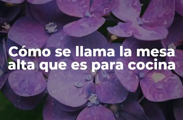 Cómo Se Llama la Mesa Alta que es para Cocina