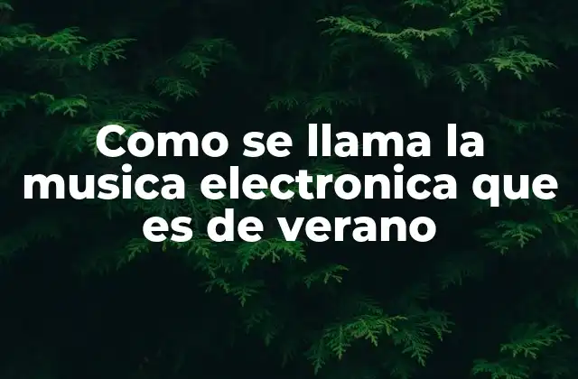 Como Se Llama la Musica Electronica que es de Verano