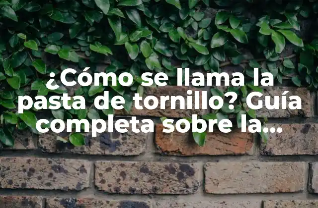 Orígenes y evolución de la rosca de tornillo