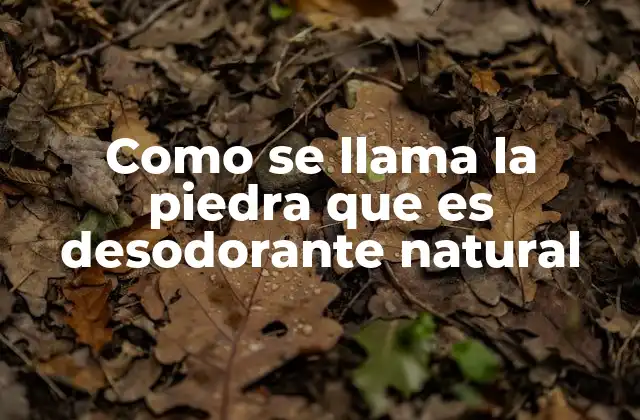 Como Se Llama la Piedra que es Desodorante Natural