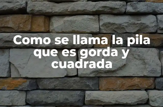 Como Se Llama la Pila que es Gorda y Cuadrada