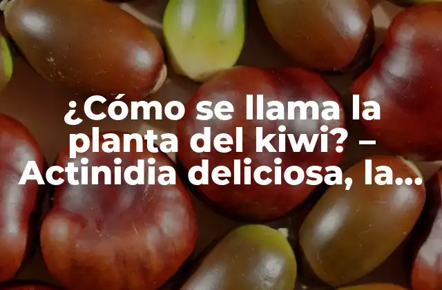 ¿cómo Se Llama la Planta Del Kiwi? – Actinidia Deliciosa, la Historia Detrás de la Fruta Exótica