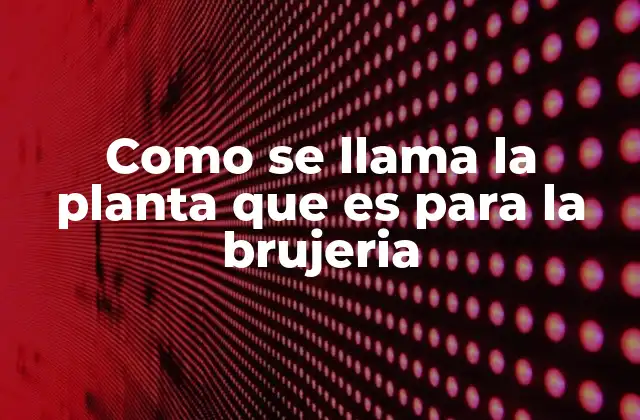Como Se Llama la Planta que es para la Brujeria